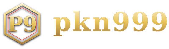 pkn999 logo